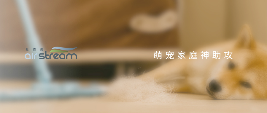 愛寵換毛季“叕”來了，你還毫無準(zhǔn)備？